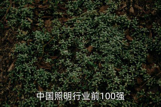 中國照明行業前100強
