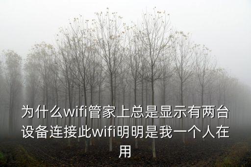 為什么wifi管家上總是顯示有兩臺(tái)設(shè)備連接此wifi明明是我一個(gè)人在用
