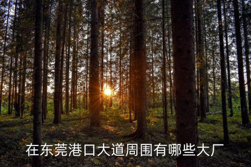 東莞港集裝箱港務有限公司孫程，在東莞港口大道周圍有哪些大廠
