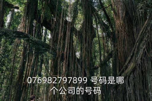 076982797899 號碼是哪個公司的號碼