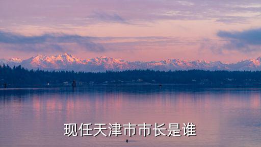 現(xiàn)任天津市市長是誰
