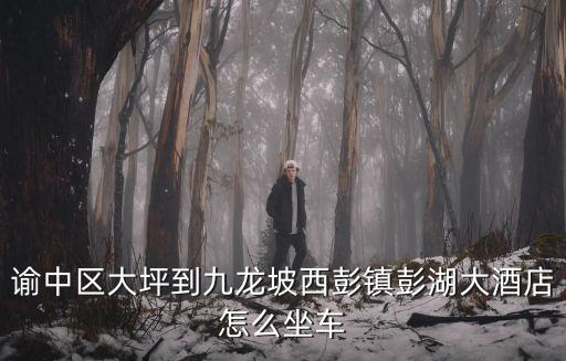 諭中區大坪到九龍坡西彭鎮彭湖大酒店怎么坐車