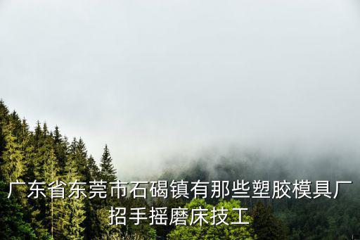廣東省東莞市石碣鎮有那些塑膠模具廠招手搖磨床技工