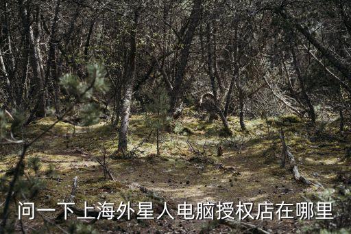 問(wèn)一下上海外星人電腦授權(quán)店在哪里
