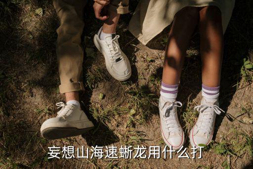 妄想山海速蜥龍用什么打