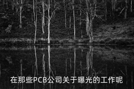 廣州倍興電子科技有限公司，聽說廣州有一家公司市理光投影機的華南總代是哪一家公司