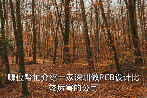 哪位幫忙介紹一家深圳做PCB設(shè)計(jì)比較厲害的公司