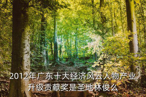 2012年廣東十大經濟風云人物產業升級貢獻獎是圣地林俊么