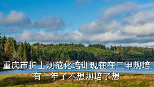 重慶市護士規范化培訓現在在三甲規培有一年了不想規培了想
