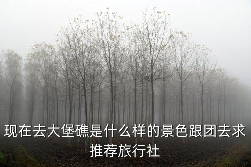 現(xiàn)在去大堡礁是什么樣的景色跟團去求推薦旅行社