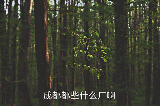 成都都些什么廠啊