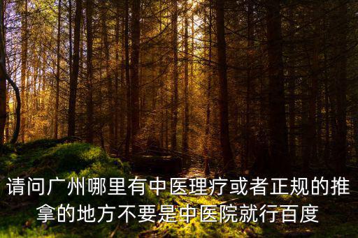 請問廣州哪里有中醫理療或者正規的推拿的地方不要是中醫院就行百度