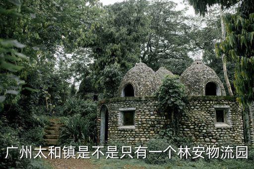 廣州太和鎮(zhèn)是不是只有一個林安物流園