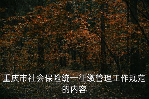 重慶市社會保險統一征繳管理工作規范的內容