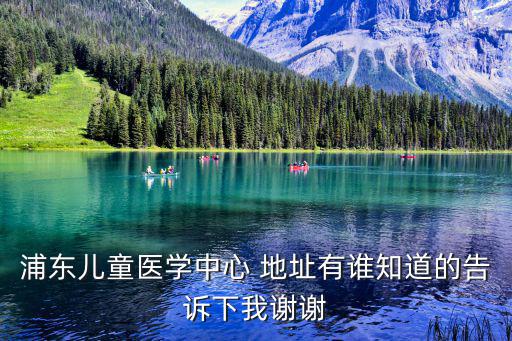 上海市兒童醫院浦東區，浦東兒童醫學中心 地址有誰知道的告訴下我謝謝