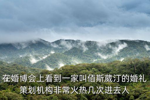 在婚博會上看到一家叫佰斯葳汀的婚禮策劃機構非常火熱幾次進去人