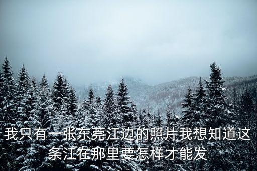 宏圖彩印科技東莞有限公司圖片，廣東東莞新科技數碼有這個商家嗎