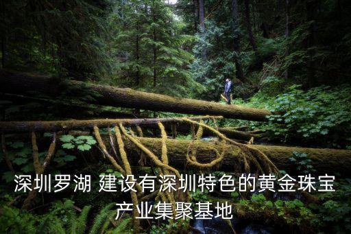 深圳羅湖 建設(shè)有深圳特色的黃金珠寶產(chǎn)業(yè)集聚基地