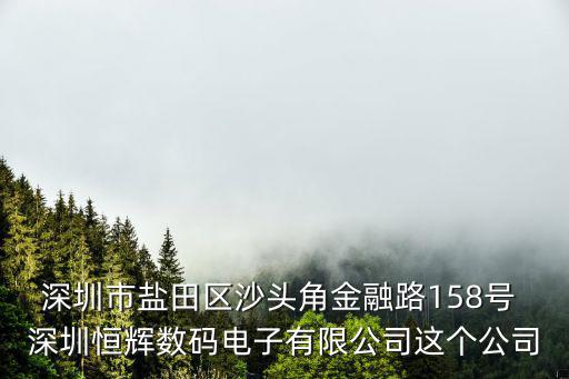 深圳市鹽田區(qū)沙頭角金融路158號 深圳恒輝數(shù)碼電子有限公司這個公司