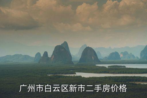 廣州市白云區新市二手房價格