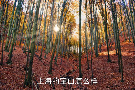 上海市寶山區安全質量，上海置準安全檢測檢驗有限公司地址