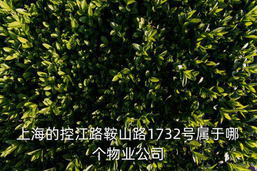 上海市控江，上海控江路在哪個區