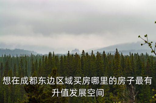 成都市東進(jìn)項(xiàng)目推薦，成都東部新區(qū)新樓盤(pán)有哪些