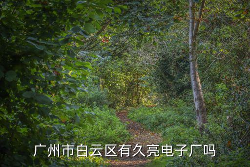 廣州白云有電子廠嗎，廣州市白云區有久亮電子廠嗎
