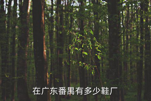 在廣東番禺有多少鞋廠