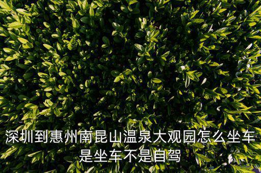 深圳到惠州南昆山溫泉大觀園怎么坐車是坐車不是自駕
