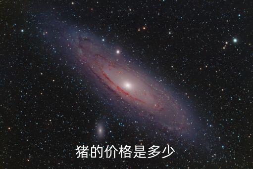 豬的價(jià)格是多少