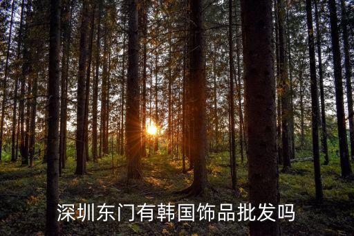 深圳東門韓國城，深圳哪里有拍韓國婚紗照的