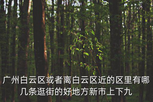 廣州白云區(qū)或者離白云區(qū)近的區(qū)里有哪幾條逛街的好地方新市上下九