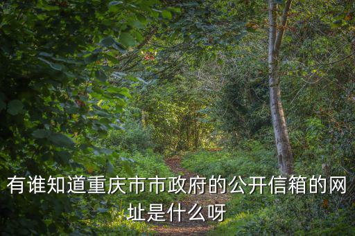 有誰知道重慶市市政府的公開信箱的網址是什么呀