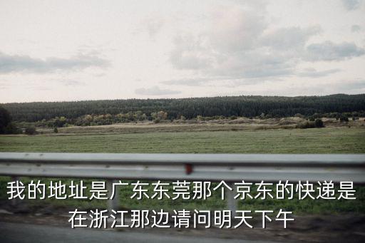 我的地址是廣東東莞那個京東的快遞是在浙江那邊請問明天下午