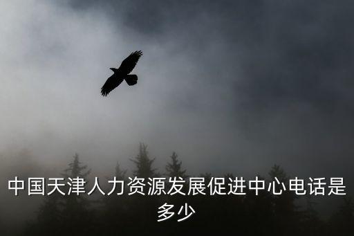 中國(guó)天津人力資源發(fā)展促進(jìn)中心電話是多少