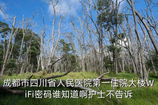 成都市金牛區人民醫院wife密碼，成都市四川省人民醫院第一住院大樓WiFi密碼誰知道啊護士不告訴