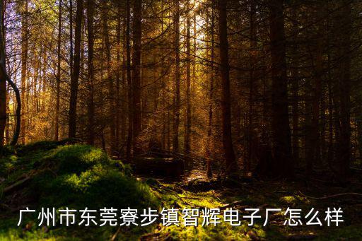 東莞逸輝電子有限公司，東莞保輝電子倒閉了嗎