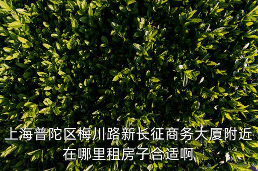 2017上海市普陀區房租，找一套上海普陀區的租房