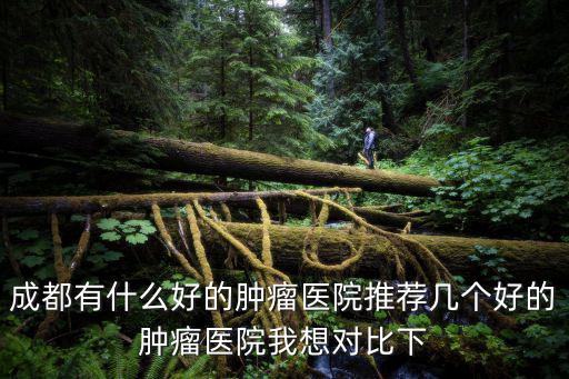 成都市民營(yíng)腫瘤醫(yī)院，成都哪家腫瘤醫(yī)院好