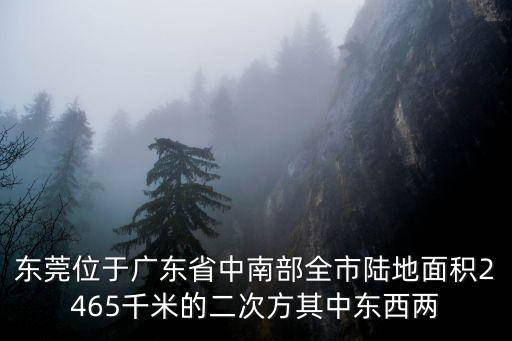 東莞位于廣東省中南部全市陸地面積2465千米的二次方其中東西兩