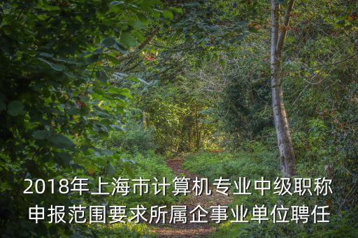 2018年上海市計(jì)算機(jī)專業(yè)中級職稱申報(bào)范圍要求所屬企事業(yè)單位聘任
