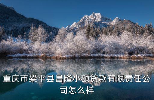 重慶市梁平縣昌隆小額貸款有限責任公司怎么樣
