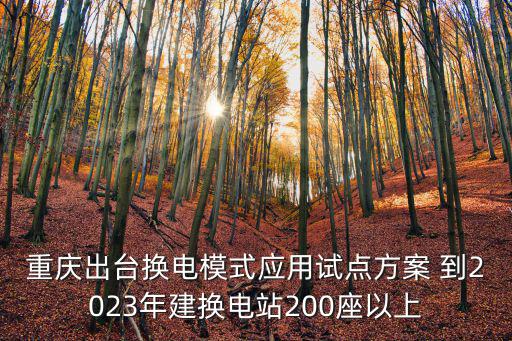 重慶市經信委彭，重慶市促進中小企業發展服務中心怎么樣