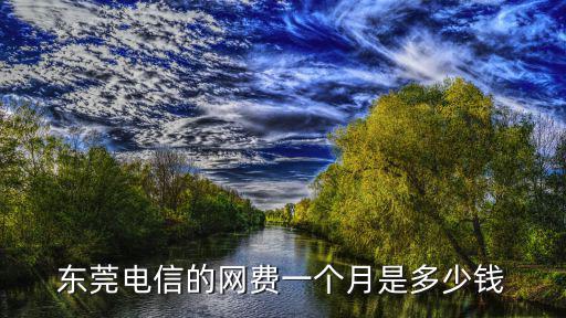 東莞電信的網費一個月是多少錢