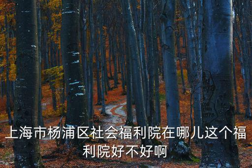 上海市楊浦區社會福利院在哪兒這個福利院好不好啊