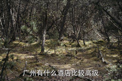 廣州有什么酒店比較高級(jí)