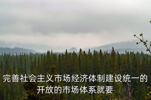 完善社會主義市場經濟體制建設統一的開放的市場體系就要