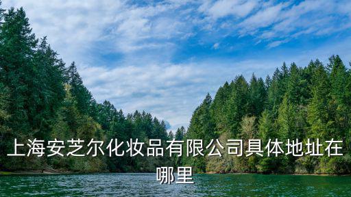 上海安芝爾化妝品有限公司具體地址在哪里