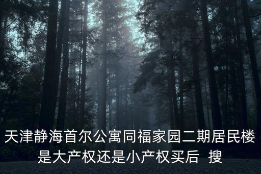 天津靜海首爾公寓同福家園二期居民樓是大產權還是小產權買后  搜